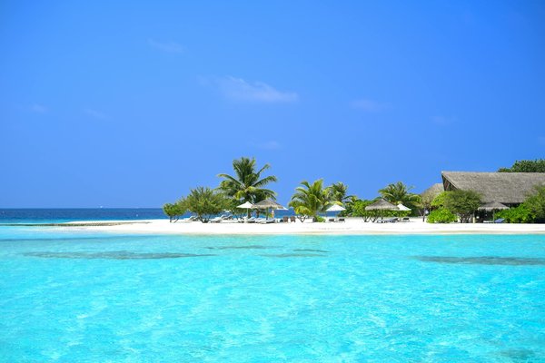 Villages pittoresques japonais : immersion totale dans la culture nippone