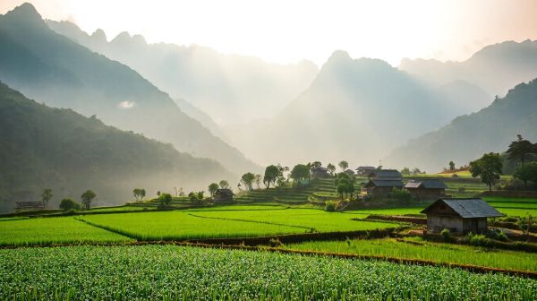 Découvrez le nord du Vietnam : montagnes, ethnies, et rizières
